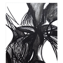 ALIEN - charcoal 108 x 148 cm.